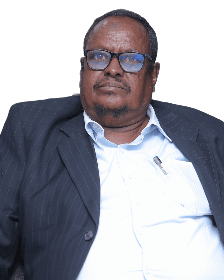 Mohamed Ali Ismail