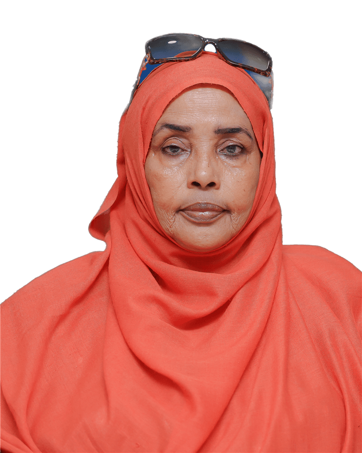Faisa Ali Ismail
